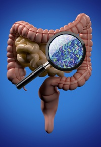 Kombinimi i probiotikëve me antibiotikët redukton dëmtimin e mikrobiomës intestinale